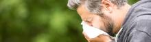 Le CBD : Un allié naturel contre les allergies